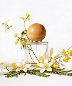 focus | parfum