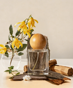 lay down | parfum