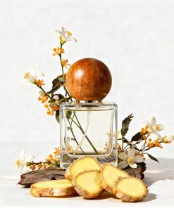 shine | parfum